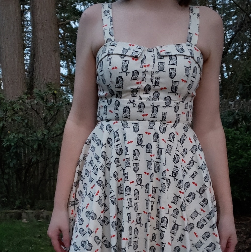 Owl Pin-Up Style Dress